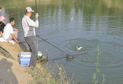 冬季砸开薄冰钓鱼的秘籍,饵料选择与操作技巧全解析 冬季砸开薄冰钓鱼的秘籍,饵料选择与操作技巧全解析