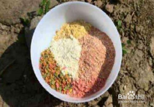 黑麦糖,钓鱼饵料的隐藏高手 黑麦糖,钓鱼饵料的隐藏高手