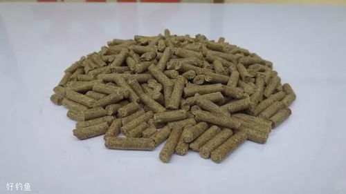 钓鱼饵料夹怎么用颗粒的？颗粒饵料夹使用全攻略