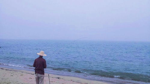 外国人海钓饵料使用指南