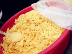 东北钓鱼饵料使用全攻略，从选料到实战技巧