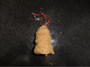 血米钓鱼饵料怎么用？手把手教你制作与使用，附视频教程