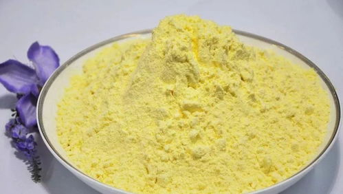 如何制作有效的钓鱼饵料