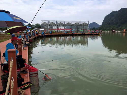 动态钓鱼饵料,如何用活的诱惑钓上大鱼?