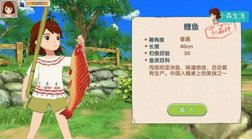 从零开始,揭秘专业钓鱼饵料研发全流程与视频制作指南