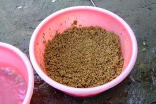 黑金钓鱼饵料使用方法,图文教程