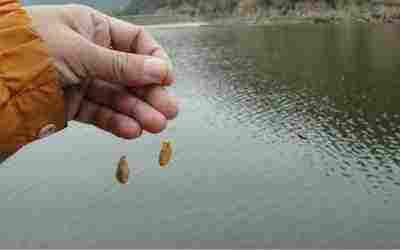 钓鱼饵料全部打窝怎么打?全面解析与实战技巧