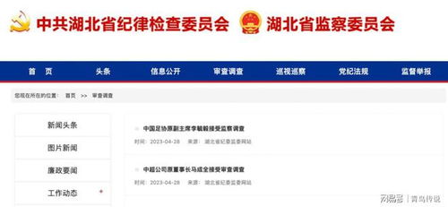 四川蓉辉欣佳建材有限责任公司成立 注册资本200万人民币