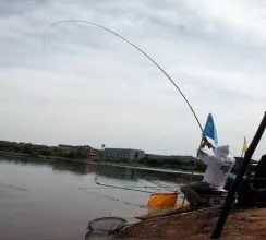 钓鱼饵料没了怎么办?这些应急技巧让你不空手而归