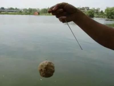 带钩钓鱼饵料的使用全攻略