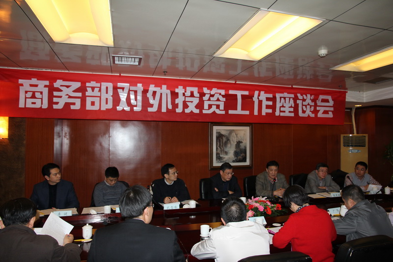 如何通过合理的投资组合实现多元化？