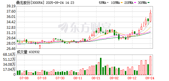 鼎龙股份成交额创2024年10月10日以来新高