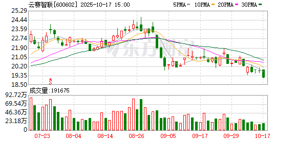 云赛智联:2025年第三季度归属于上市公司股东的净利润同比增长10.81%