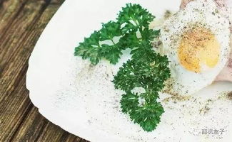 烙饼钓鱼饵料秘方，从家庭厨房到鱼塘实战指南