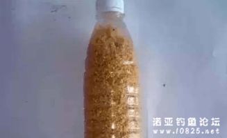 钓鱼饵料烧手过敏怎么办？详细急救指南与预防措施
