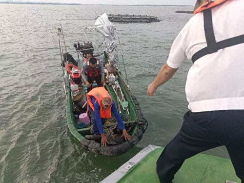 海蚂蝗，海钓高手的秘密武器