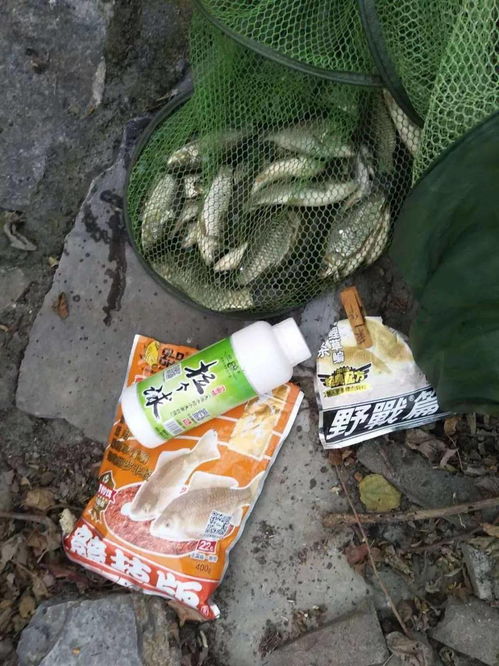 钓鱼饵料颜色洗不掉怎么回事？