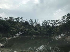 铁岗水库钓鱼饵料怎么选？这份饵料指南让你鱼获满满！
