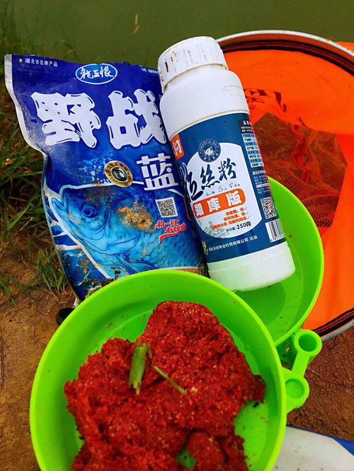 野战蓝姬钓鱼饵料怎么样？全面评测与使用心得