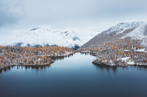 Mastering Winter Angling:Essential Tips for Winter Fish Care and Fishing Techniques