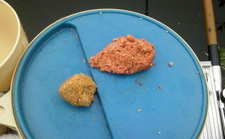 不粘手的钓鱼饵料，这样调制轻松解决！
