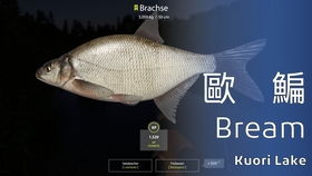 Crafting an Effective Fishing Technique Promotion Plan:A Comprehensive Guide