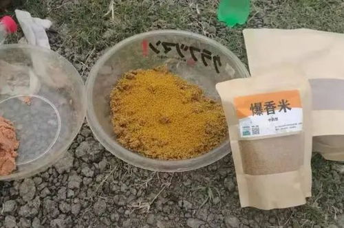 抛杆钓饵秘籍，饵料装填的九重境界