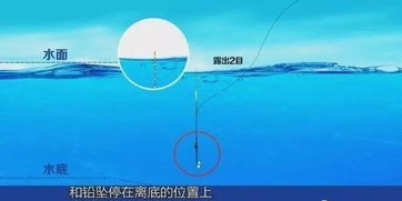 精准调漂，浮底饵料的最佳调漂方法与实战技巧