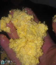 小翘嘴作饵料的妙招，钓鱼高手必学的饵料秘方