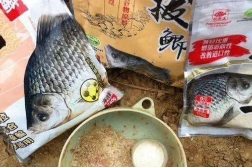 小黄鱼钓鱼饵料选择与挂法全攻略