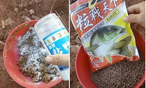 老六钓鱼饵料，江湖老手的秘密武器？