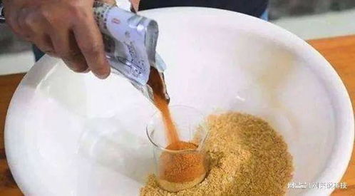 钓鱼饵料入水化了怎么办，全面指南与实用技巧