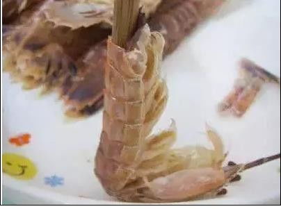 野钓虾饵怎么用？手把手教你用视频掌握虾饵使用秘籍