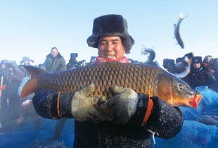 Mastering Winter Fishing:Expert Tips on How to Fish with Maizitiao in the Cold Season
