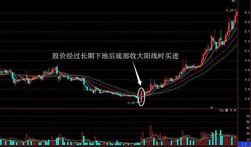 洲际交易所股价盘前上涨 此前报道称其洽谈向Polymarket投资20亿美元