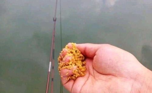 钓鱼饵料像棉花怎么办？原因分析与解决方法