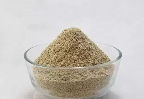 小麦的妙用，如何用小麦制作高效打窝钓鱼饵料