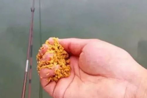 钓鱼饵料买太多怎么办？3招教你化腐朽为神奇！
