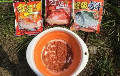 钓鱼饵料水比怎么算，从新手到高手的饵料调配秘籍