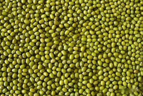 米糠菜籽饼饵料制作，自制钓鱼高手必学秘方