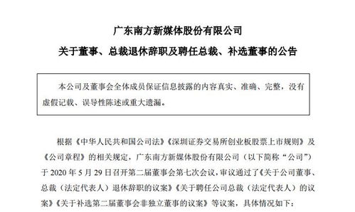副总经理杜小华退休辞职 莱宝高科上半年增收不增利，微腔电子纸项目拖累短期利润