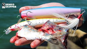 Crafting an Appealing Fishing Tips Notebook:A Guide to Writing and Design
