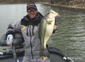 Mastering the Art of Fish Bait Placement:Essential Techniques for Anglers
