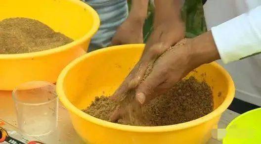 白酒做钓鱼饵料好吗?这样做效果翻倍!