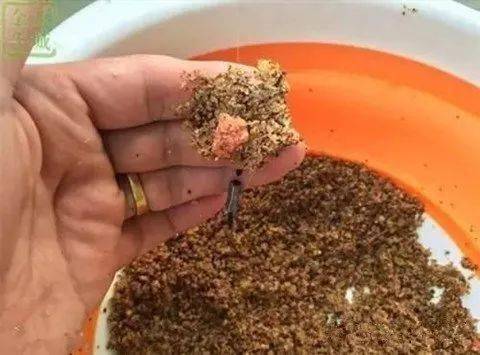 软杆散炮钓鱼饵料使用全攻略,从选择到实战技巧