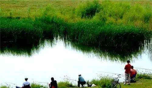 河沟野钓饵料配制全攻略,从基础到进阶