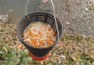 野塘钓鱼饵料窝料怎么配?这份详细指南让你轻松上鱼!