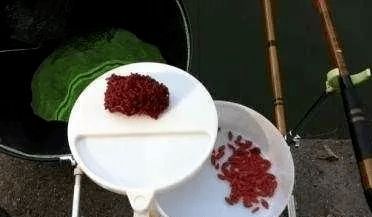 龙吐珠钓鱼饵料使用全攻略，从入门到精通