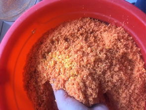 自制钓鱼饵料，效果如何？