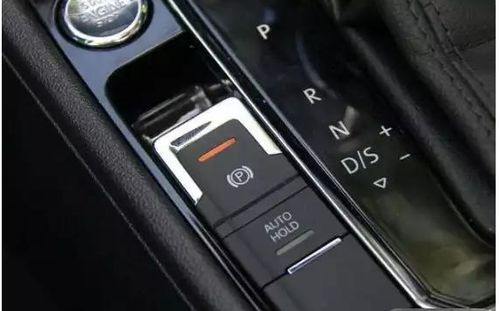 小河钓鱼饵料怎么选?这几点你得知道!